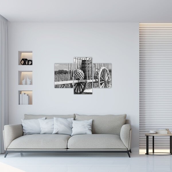 Obraz - Prívesný vozík, čiernobiela (90x60 cm)