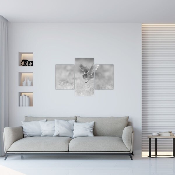 Obraz - Sova, čiernobiela (90x60 cm)