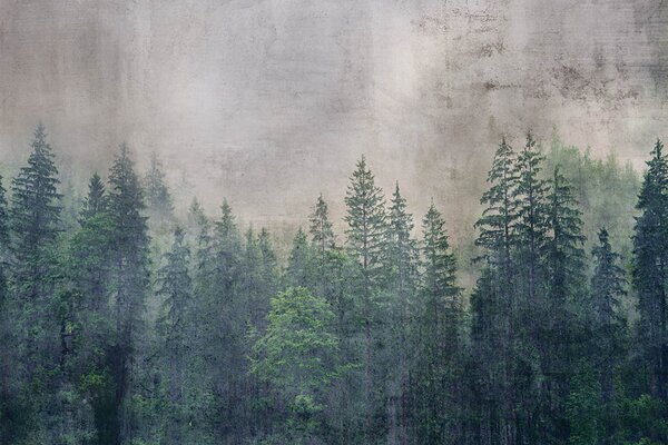 DIMEX | Vliesové fototapety na stenu Abstrakt les MS-5-0353 | 375 x 250 cm | zelená, béžová