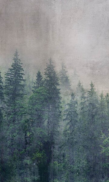 DIMEX | Vliesové fototapety na stenu Abstrakt les MS-2-0353 | 150 x 250 cm | zelená, béžová