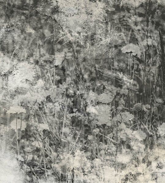 DIMEX | Vliesová fototapeta na stenu Prírodný šedý abstrakt MS-3-0361 | 225 x 250 cm | šedá, čierna