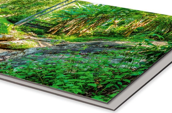 DIMEX | Dibond doska za kuchynskú linku | DBW-18060-134 Botanická záhrada | 180 x 60 cm