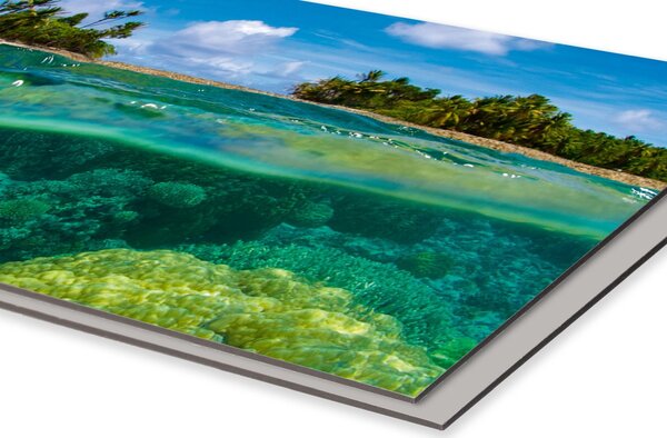 DIMEX | Dibond doska za kuchynskú linku | DBW-26060-013 Koralový útes | 260 x 60 cm