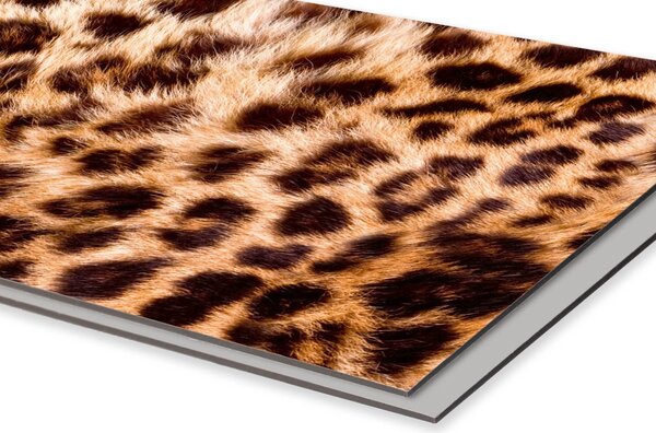 DIMEX | Dibond doska za kuchynskú linku | DBW-06040-069 Leopardia koža | 60 x 40 cm
