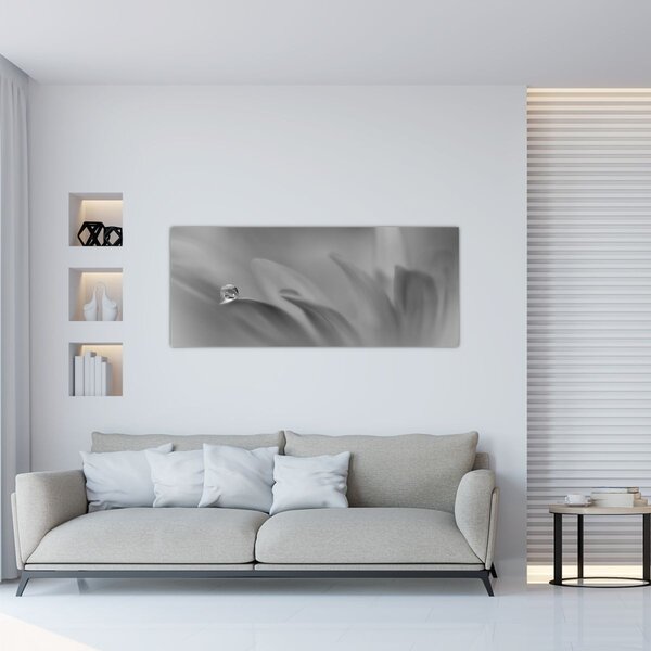 Obraz - Kvapka na kvete, čiernobiela (120x50 cm)