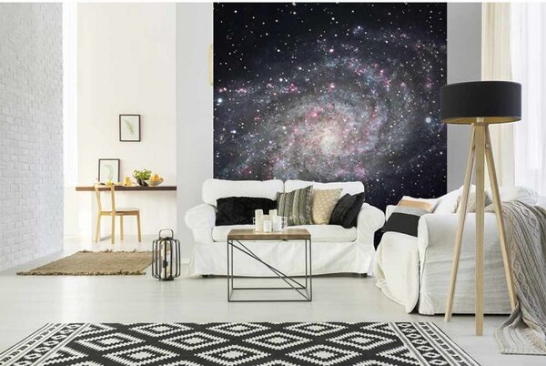 DIMEX | Vliesová fototapeta na stenu Galaxia MS-3-0189 | 225 x 250 cm | čierna, šedá, ružová