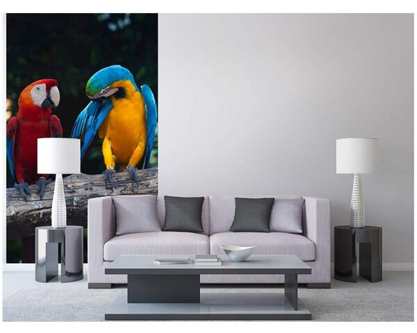 DIMEX | Vliesové fototapety na stenu Farebné papagáje Ara MS-2-0223 | 150 x 250 cm | viacfarebná