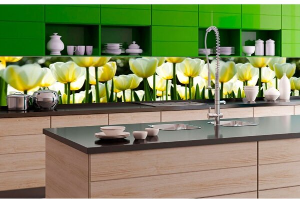 DIMEX | Fototapeta do kuchyne Biele tulipány KI-350-009 | 350 x 60 cm | zelená, biela, žltá