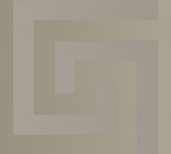 A.S. Création | Vliesová tapeta na stenu VERSACE 38609-2 | 0,70 x 10,05 m | metalická, šedá