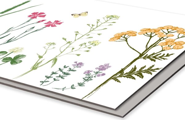 DIMEX | Dibond doska za kuchynskú linku | DBW-18060-219 Kresba z herbára | 180 x 60 cm