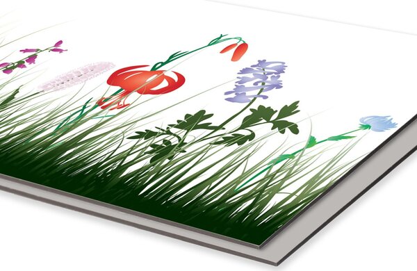 DIMEX | Dibond doska za kuchynskú linku | DBW-06040-182 Lúčny design | 60 x 40 cm
