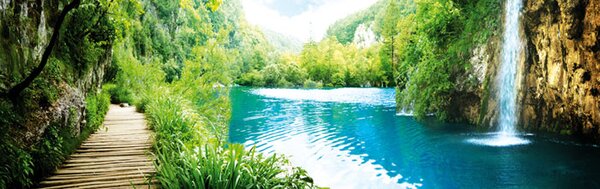 DIMEX | Sklenená stena za kuchynskú linku | vlastný rozmer | Fotosklo Relax v lese