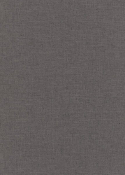 DIMEX | Vliesová tapeta na stenu WPE-901639 | 0,53 x 10,05 m | čierna