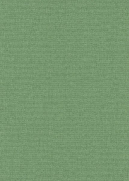 DIMEX | Vliesová tapeta na stenu WPE-901971 | 0,53 x 10,05 m | zelená