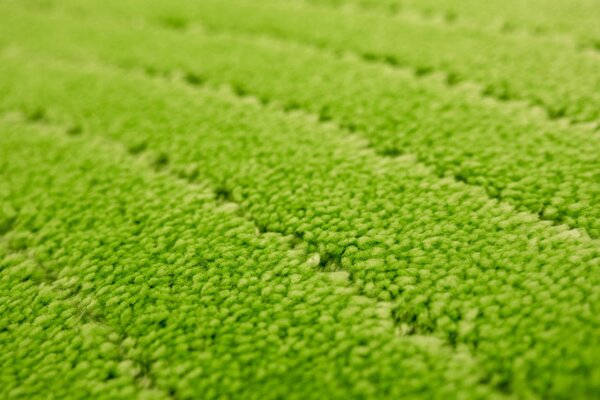 Kúpeľňový koberček Sara Green svetlozelený, vlny