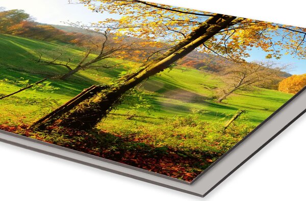 DIMEX | Dibond doska za kuchynskú linku | DBW-08060-083 Lúka | 80 x 60 cm
