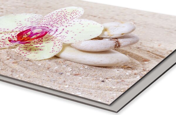 DIMEX | Dibond doska za kuchynskú linku | DBW-18060-057 Záhrada Zen | 180 x 60 cm