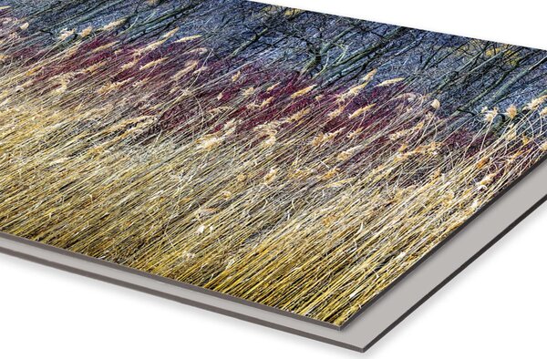 DIMEX | Dibond doska za kuchynskú linku | DBW-08040-170 Zimná trstina| 80 x 40 cm