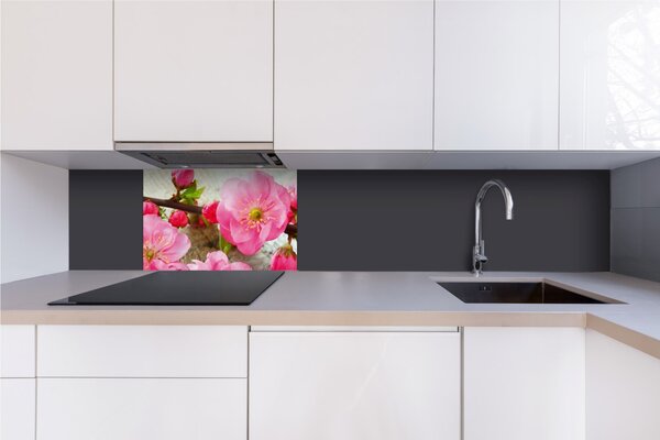 DIMEX | Dibond doska za kuchynskú linku | DBW-06040-053 Sakura | 60 x 40 cm