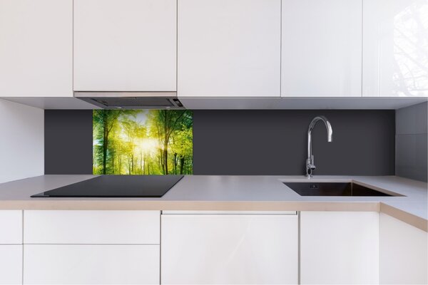DIMEX | Dibond doska za kuchynskú linku | DBW-06040-189 Svieži zelený les | 60 x 40 cm
