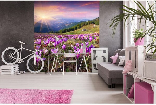 DIMEX | Vliesová fototapeta na stenu Krókusy na jar MS-3-0064 | 225 x 250 cm | fialová, zelená