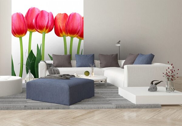 DIMEX | Vliesová fototapeta na stenu Tulipány MS-3-0126 | 225 x 250 cm | zelená, červená, biela