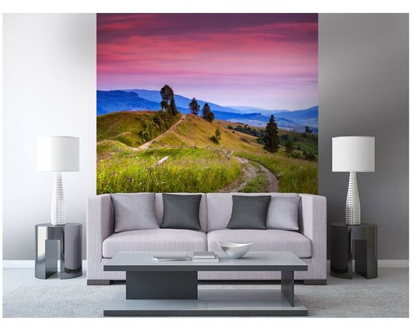 DIMEX | Vliesová fototapeta na stenu Príroda s červánkami MS-3-0061 | 225 x 250 cm | zelená, modrá, ružová