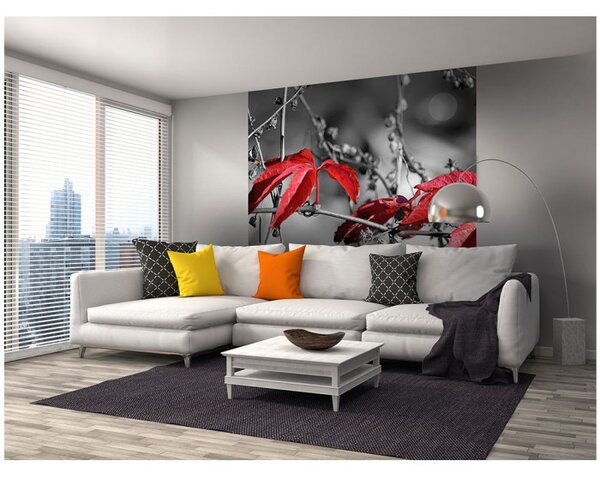 DIMEX | Vliesová fototapeta na stenu Červené lístie na čiernom pozadí MS-3-0110 | 225 x 250 cm | čiernobiela, červená