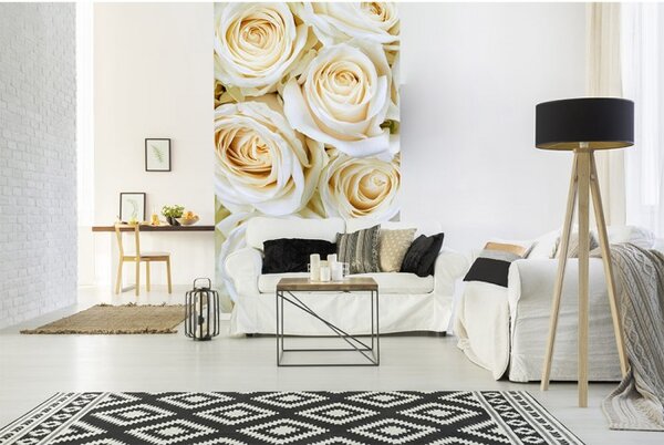 DIMEX | Vliesové fototapety na stenu Biele ruže MS-2-0137 | 150 x 250 cm | biela, krémová