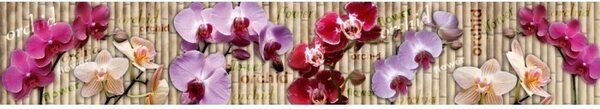 DIMEX | Fototapeta do kuchyne Orchidea KI-350-026 | 350 x 60 cm | fialová, béžová, ružová