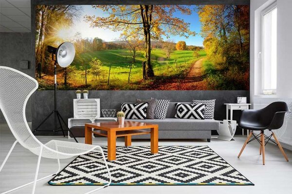 DIMEX | Panoramatická vliesová fototapeta na stenu Lúka MP-2-0066 | 375 x 150 cm | zelená, žltá, modrá, červená