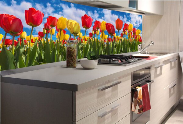 DIMEX | Fototapeta do kuchyne Tulipánové pole KI-180-131 | 180 x 60 cm | zelená, modrá, červená, žltá