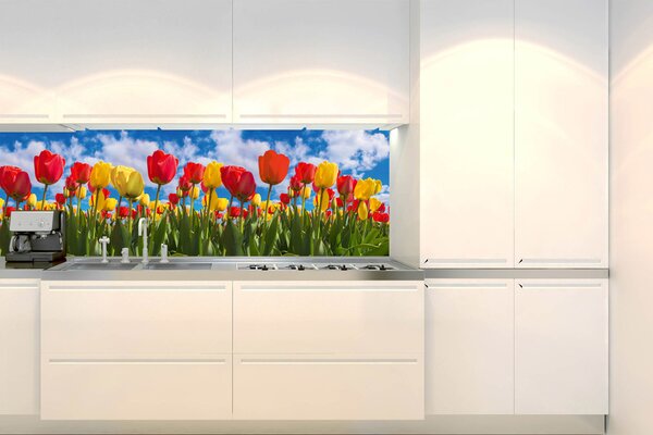 DIMEX | Fototapeta do kuchyne Tulipánové pole KI-180-131 | 180 x 60 cm | zelená, modrá, červená, žltá
