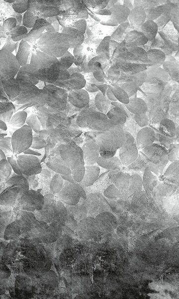 DIMEX | Vliesové fototapety na stenu Abstrakt kvety jablone II. MS-2-0355 | 150 x 250 cm | čierna, biela
