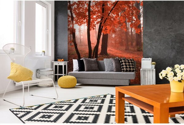 DIMEX | Vliesová fototapeta na stenu Les v hmle MS-3-0095 | 225 x 250 cm | červená, hnedá, zelená