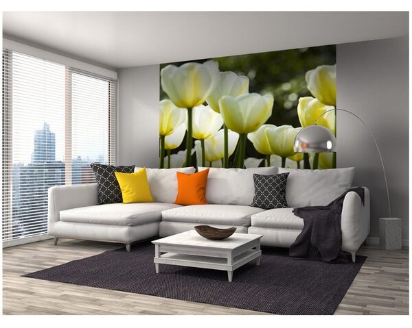 DIMEX | Vliesová fototapeta na stenu Biele tulipány MS-3-0127 | 225 x 250 cm | žltá, zelená, biela