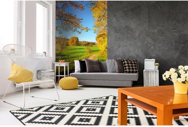 DIMEX | Vliesové fototapety na stenu Lúka MS-2-0066 | 150 x 250 cm | zelená, žltá, modrá, červená