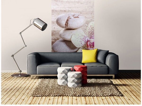 DIMEX | Vliesové fototapety na stenu Zen MS-2-0118 | 150 x 250 cm | krémová, ružová, béžová