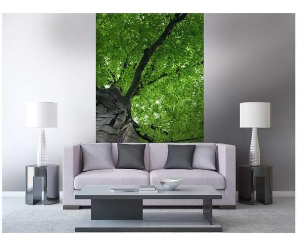 DIMEX | Vliesové fototapety na stenu Koruna stromu MS-2-0101 | 150 x 250 cm | šedá, zelená