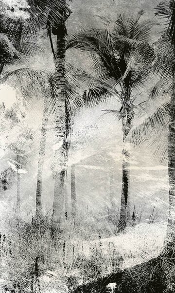 DIMEX | Vliesové fototapety na stenu Abstrakt palmy MS-2-0374 | 150 x 250 cm | čierna, biela