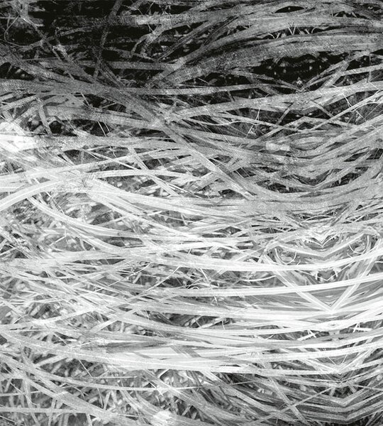 DIMEX | Vliesová fototapeta na stenu Abstrakt seno II. MS-3-0382 | 225 x 250 cm | šedá, biela, čierna