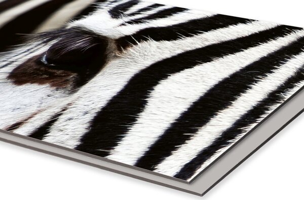 DIMEX | Dibond doska za kuchynskú linku | DBW-06040-016 Zebra | 60 x 40 cm