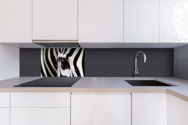 DIMEX | Dibond doska za kuchynskú linku | DBW-06040-016 Zebra | 60 x 40 cm