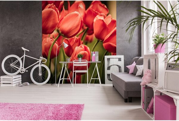 DIMEX | Vliesová fototapeta na stenu Červené tulipány MS-3-0128 | 225 x 250 cm | červená, zelená