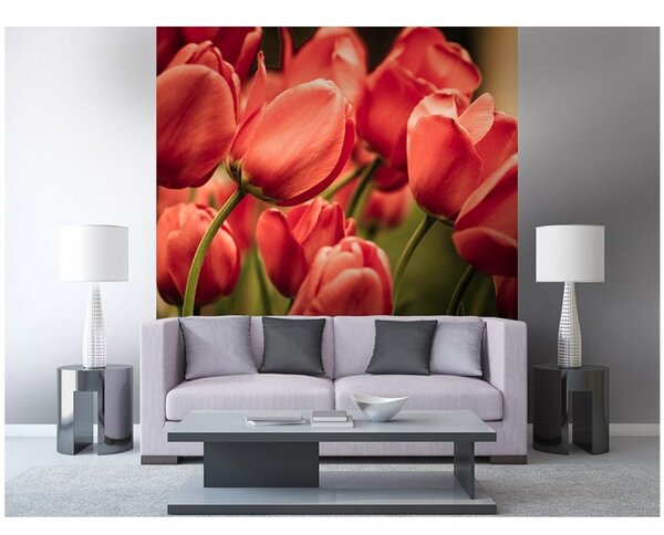 DIMEX | Vliesová fototapeta na stenu Červené tulipány MS-3-0128 | 225 x 250 cm | červená, zelená