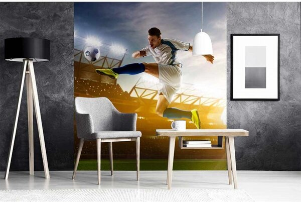 DIMEX | Vliesová fototapeta na stenu Futbalový hráč MS-3-0306 | 225 x 250 cm | modrá, zelená, hnedá, žltá