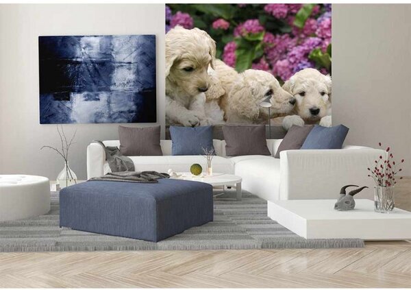 DIMEX | Vliesová fototapeta na stenu Šteňatá labradora MS-3-0224 | 225 x 250 cm | krémová, zelená, ružová