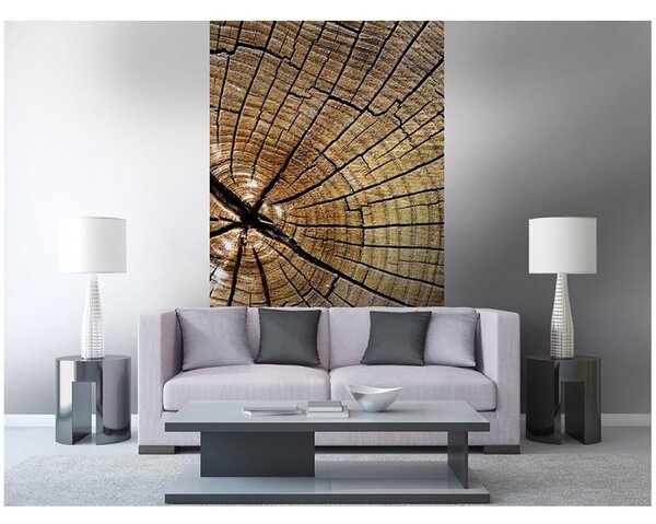 DIMEX | Vliesové fototapety na stenu Letokruhy MS-2-0162 | 150 x 250 cm | hnedá, béžová