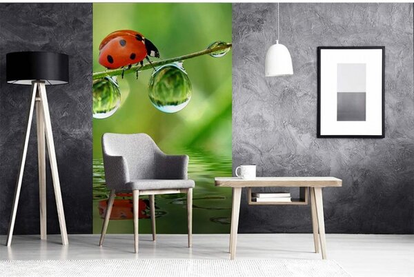 DIMEX | Vliesové fototapety na stenu Lienka MS-2-0226 | 150 x 250 cm | zelená, červená, čierna