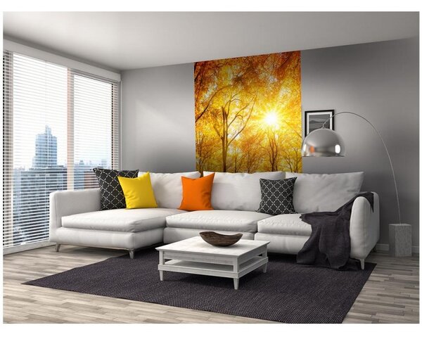 DIMEX | Vliesové fototapety na stenu Slnečný les MS-2-0067 | 150 x 250 cm | žltá, oranžová, zelená